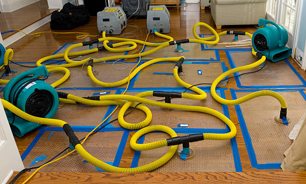 Professional Water Damage Restoration technician working in Stokes, NC